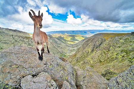 Lo mejor de la naturaleza europea (Red Natura 2000)