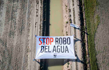 Nuevo ataque a Doñana