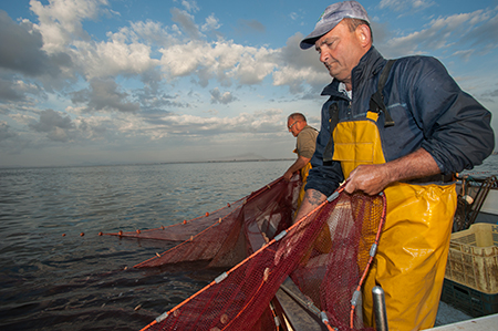 Pesca con futuro