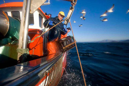 Pesca y sostenibilidad 